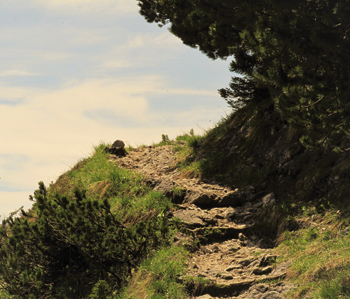 motiv-steinger-wanderweg